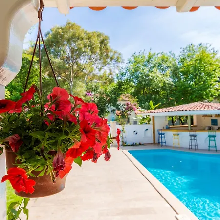 Rum i privatbostad Calypso Cozy Suites (Adults Only)