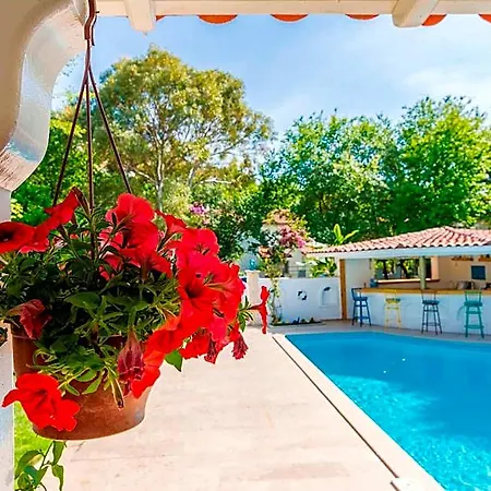 Calypso Cozy (adults Only) Accommodatie bij particulieren